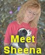 Meet Sheena Wiseman, Cocker breeder